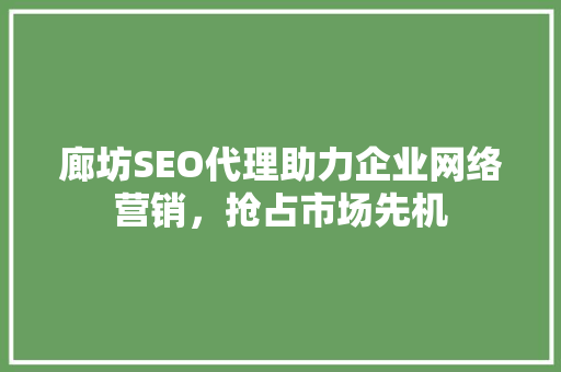 廊坊SEO代理助力企业网络营销，抢占市场先机