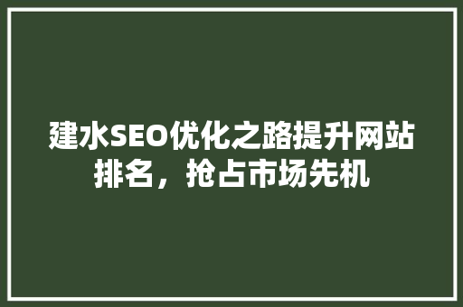 建水SEO优化之路提升网站排名，抢占市场先机