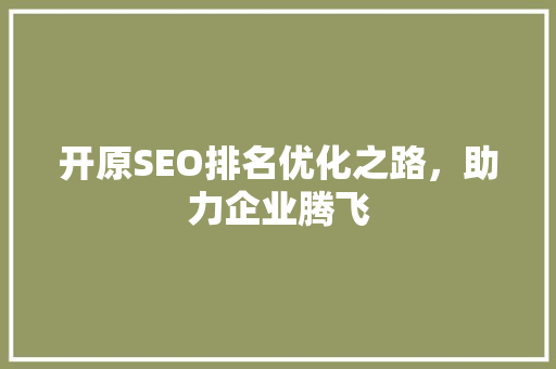 开原SEO排名优化之路，助力企业腾飞