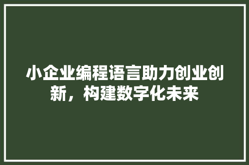 小企业编程语言助力创业创新，构建数字化未来