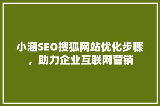 小涵SEO搜狐网站优化步骤，助力企业互联网营销
