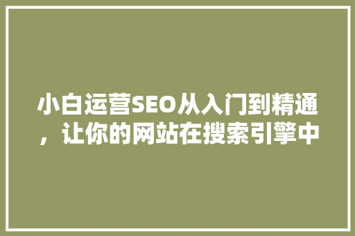 小白运营SEO从入门到精通，让你的网站在搜索引擎中脱颖而出