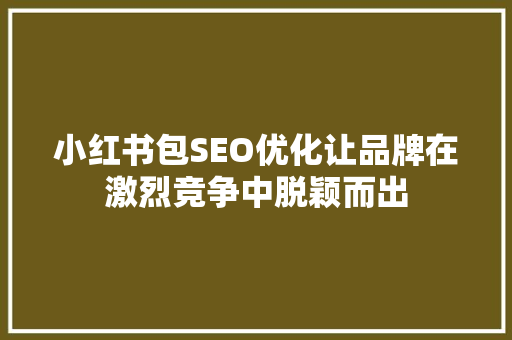 小红书包SEO优化让品牌在激烈竞争中脱颖而出
