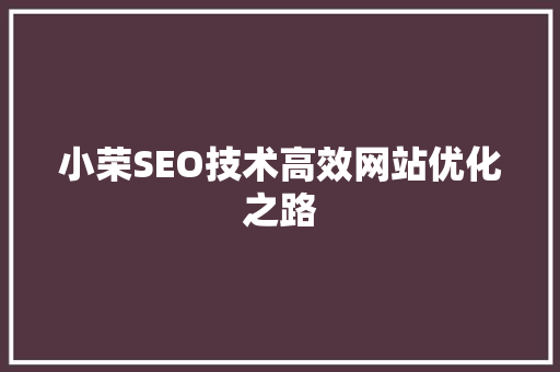 小荣SEO技术高效网站优化之路