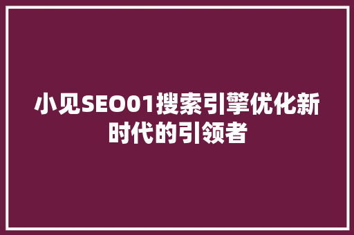 小见SEO01搜索引擎优化新时代的引领者