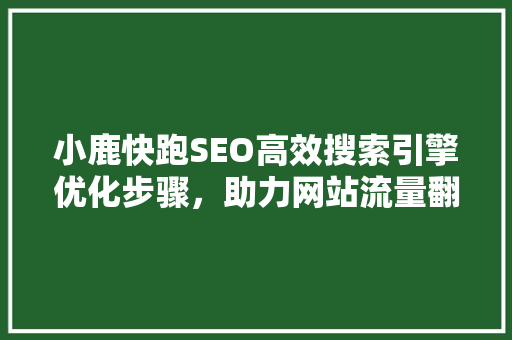 小鹿快跑SEO高效搜索引擎优化步骤，助力网站流量翻倍