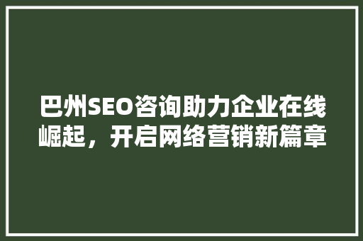 巴州SEO咨询助力企业在线崛起，开启网络营销新篇章