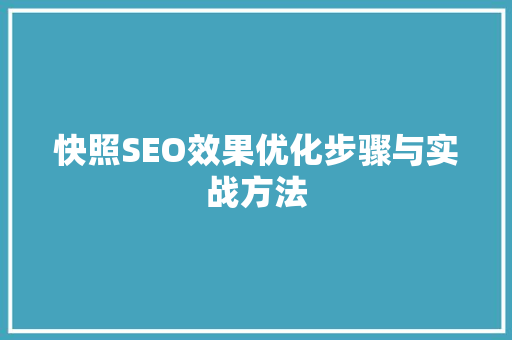 快照SEO效果优化步骤与实战方法