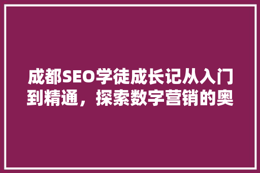 成都SEO学徒成长记从入门到精通，探索数字营销的奥秘
