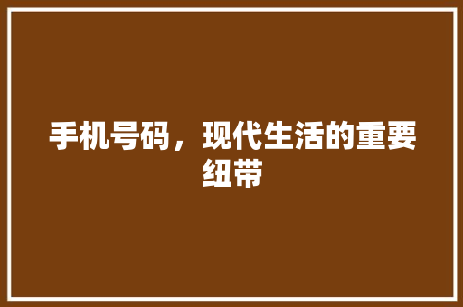 手机号码，现代生活的重要纽带