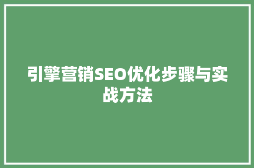 引擎营销SEO优化步骤与实战方法