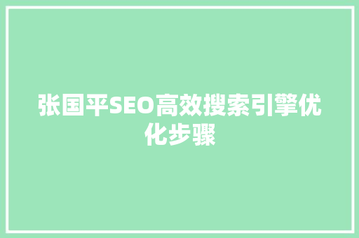 张国平SEO高效搜索引擎优化步骤
