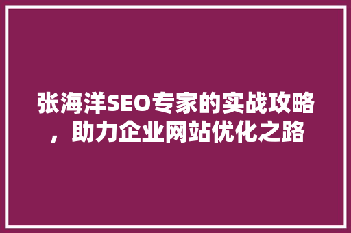 张海洋SEO专家的实战攻略，助力企业网站优化之路