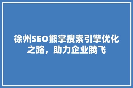 徐州SEO熊掌搜索引擎优化之路，助力企业腾飞