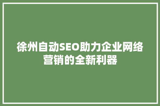 徐州自动SEO助力企业网络营销的全新利器