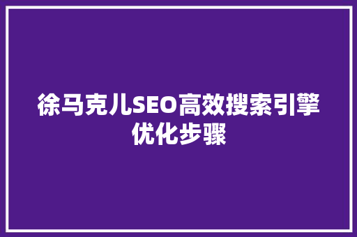 徐马克儿SEO高效搜索引擎优化步骤