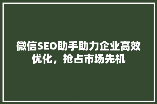 微信SEO助手助力企业高效优化，抢占市场先机