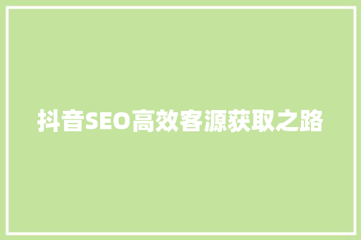 抖音SEO高效客源获取之路