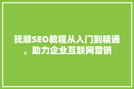 抚顺SEO教程从入门到精通，助力企业互联网营销