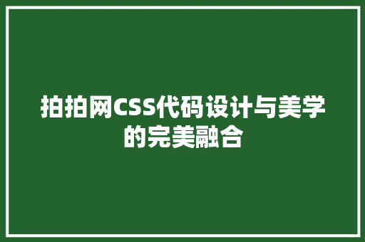 拍拍网CSS代码设计与美学的完美融合