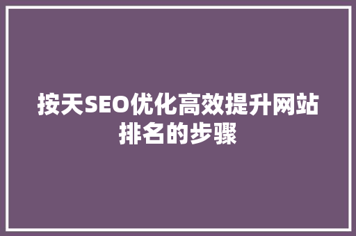 按天SEO优化高效提升网站排名的步骤