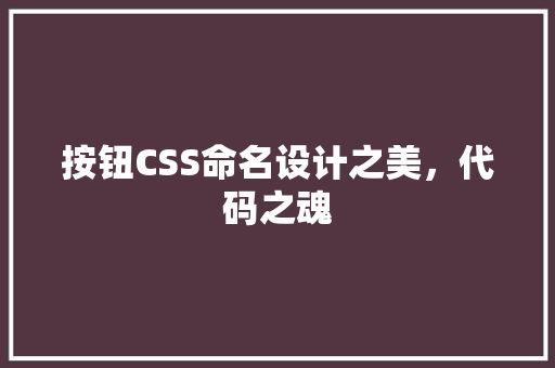 按钮CSS命名设计之美，代码之魂