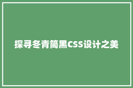 探寻冬青简黑CSS设计之美