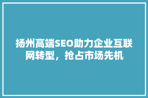 扬州高端SEO助力企业互联网转型，抢占市场先机