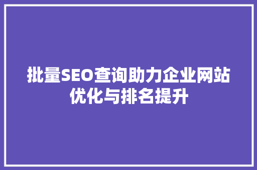 批量SEO查询助力企业网站优化与排名提升