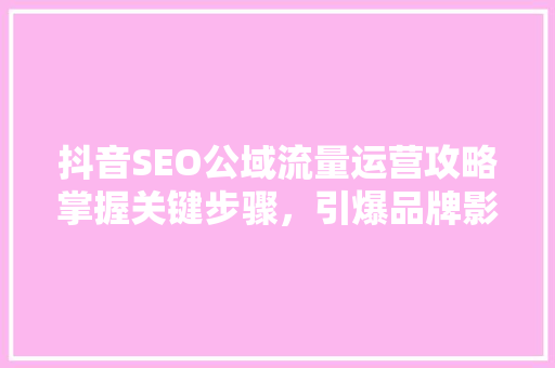 抖音SEO公域流量运营攻略掌握关键步骤，引爆品牌影响力