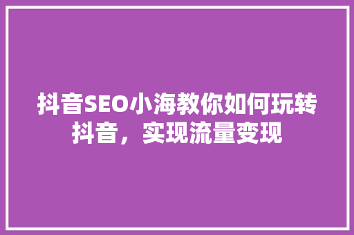抖音SEO小海教你如何玩转抖音，实现流量变现
