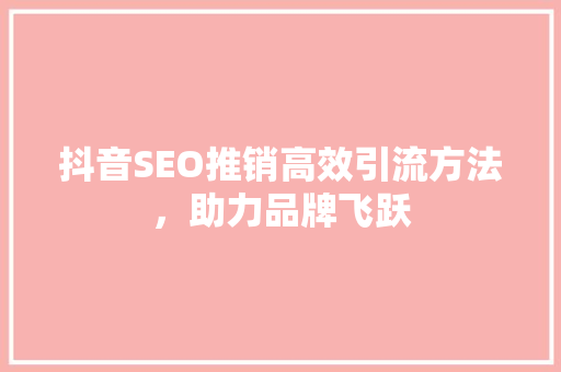 抖音SEO推销高效引流方法，助力品牌飞跃