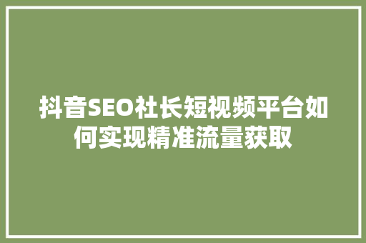 抖音SEO社长短视频平台如何实现精准流量获取