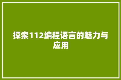 探索112编程语言的魅力与应用