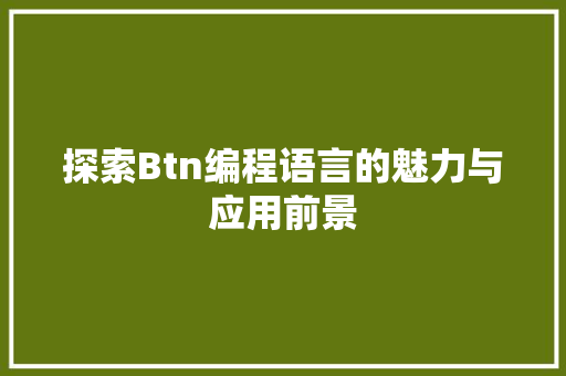 探索Btn编程语言的魅力与应用前景