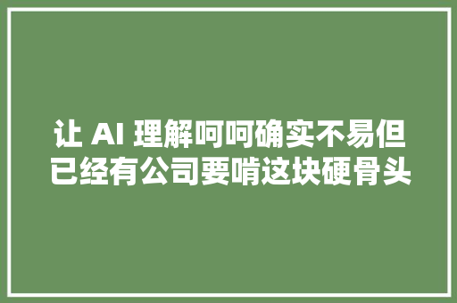 让 AI 理解呵呵确实不易但已经有公司要啃这块硬骨头了