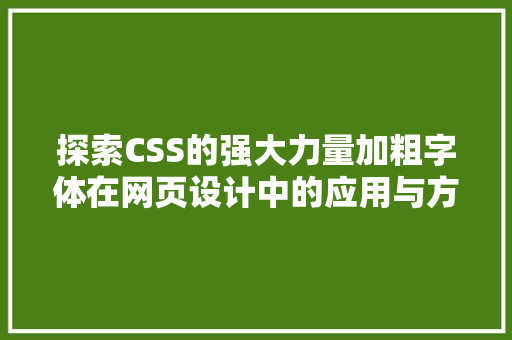 探索CSS的强大力量加粗字体在网页设计中的应用与方法