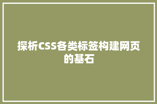 探析CSS各类标签构建网页的基石