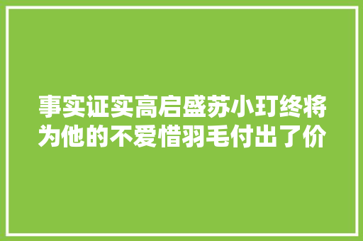 事实证实高启盛苏小玎终将为他的不爱惜羽毛付出了价值