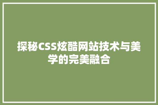 探秘CSS炫酷网站技术与美学的完美融合
