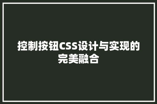控制按钮CSS设计与实现的完美融合