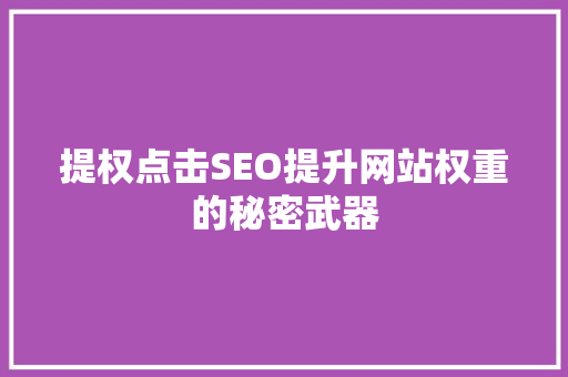 提权点击SEO提升网站权重的秘密武器