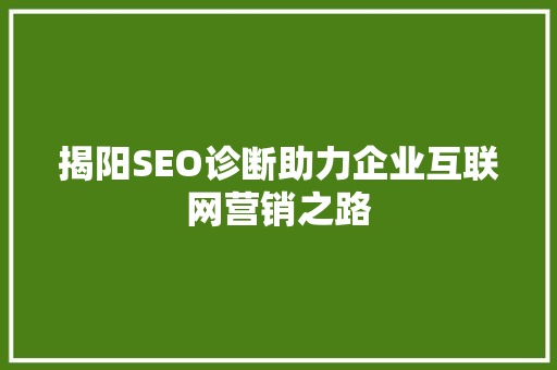 揭阳SEO诊断助力企业互联网营销之路