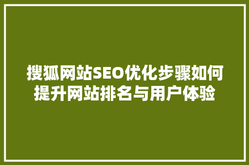 搜狐网站SEO优化步骤如何提升网站排名与用户体验