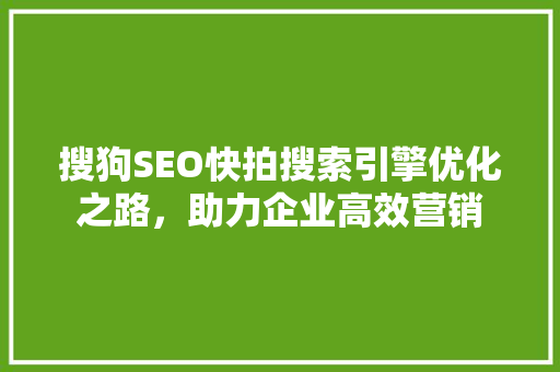 搜狗SEO快拍搜索引擎优化之路，助力企业高效营销