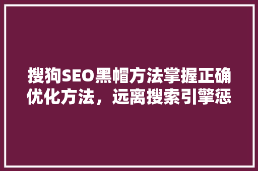 搜狗SEO黑帽方法掌握正确优化方法，远离搜索引擎惩罚