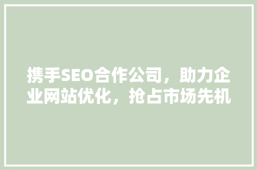 携手SEO合作公司，助力企业网站优化，抢占市场先机