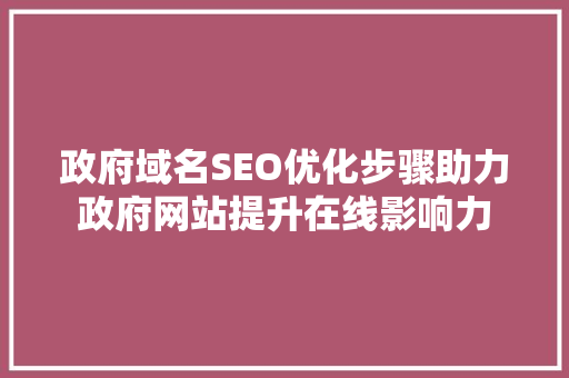 政府域名SEO优化步骤助力政府网站提升在线影响力