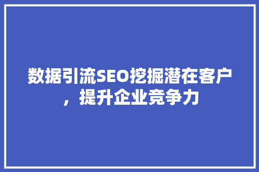 数据引流SEO挖掘潜在客户，提升企业竞争力