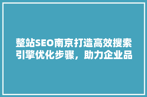 整站SEO南京打造高效搜索引擎优化步骤，助力企业品牌腾飞